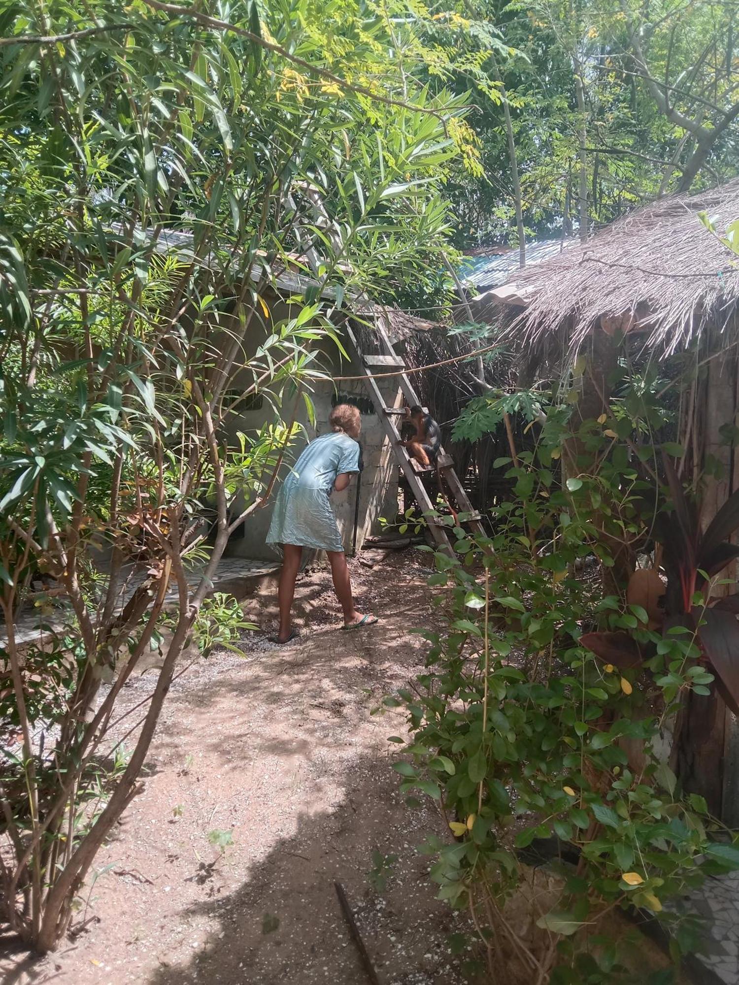 Chez Bethy & Baboulaye Jungle Et Ocean Villa Abémé Exteriör bild