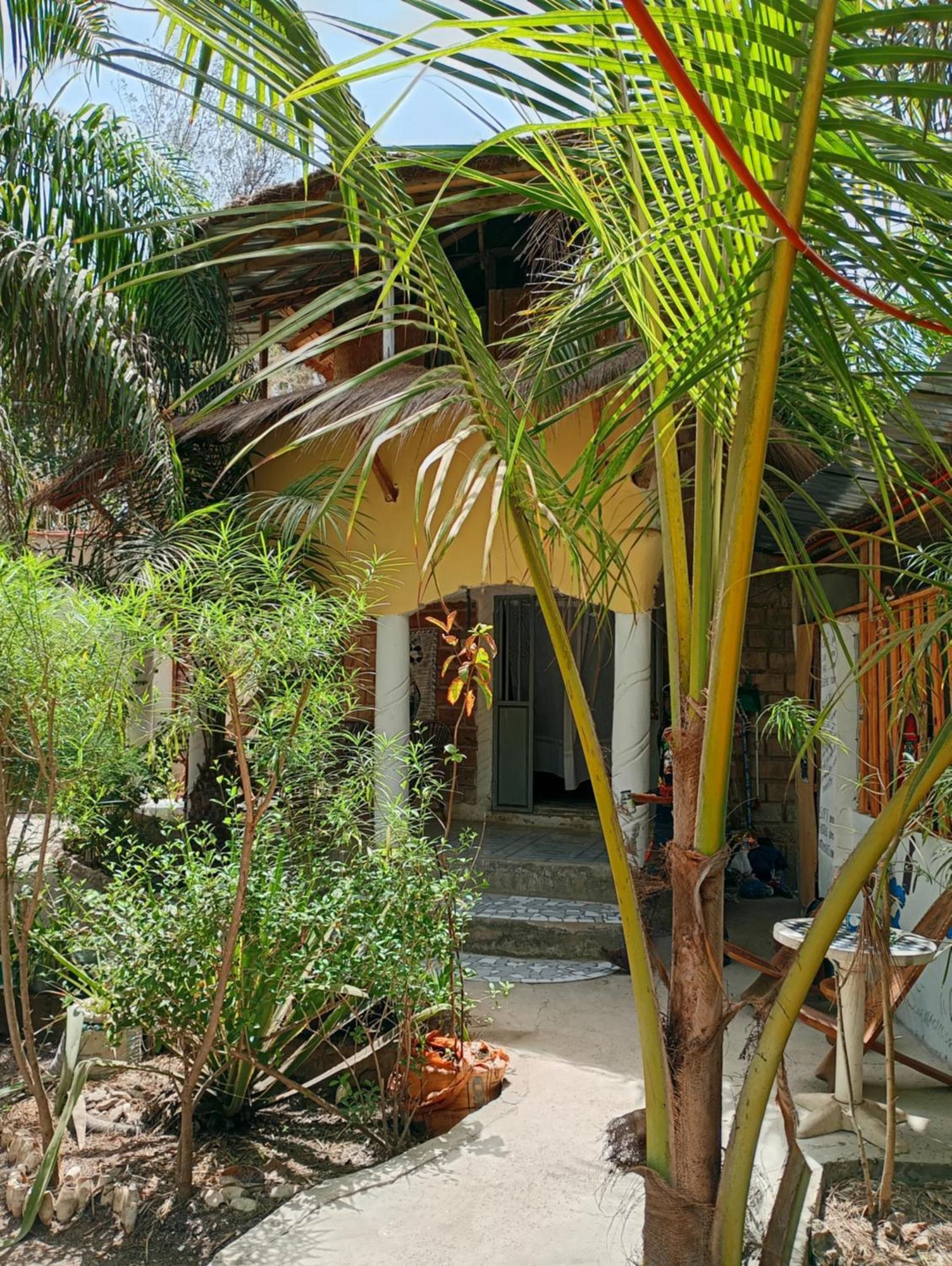 Chez Bethy & Baboulaye Jungle Et Ocean Villa Abémé Exteriör bild